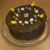 Chocolate Sponge Cake 